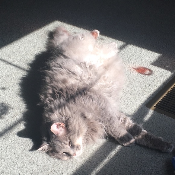 Currently conducting inventory-will be back soon! Thanks for stopping by! - Picture 3 of 3